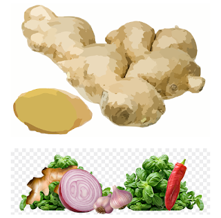 Ginger Food and Mixed Salad: A Fusion of Flavors for Health and Taste