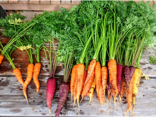 The Nutritional Powerhouse : Embracing Health with Carrots